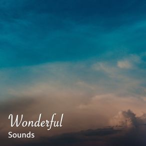 Download track Tranquil Binaural Sounds Spa Music Paradise