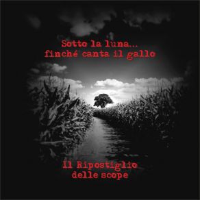 Download track Il Sale E La Rosa Il Ripostiglio Delle Scope