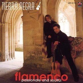 Download track Fiesta Flamenca Tierra Negra