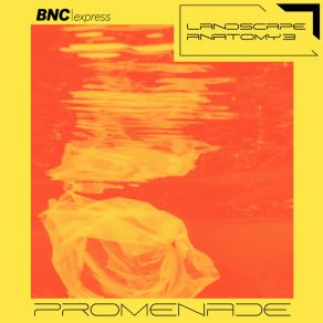 Download track Northern Friend Promenade