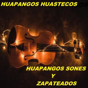 Download track Mix De Cumbias Huapangos Huastecos