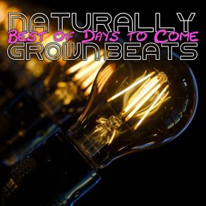 Download track Best Of Days To Come (Hip Hop Instrumental Beat Extended Mix) Naturally Grown Beats