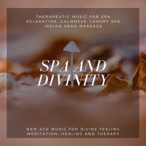 Download track Divine Water Spa Deep Breath Calming Down Buddha Healing Meditation Music