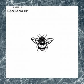 Download track Santana (Original Mix) Raul B