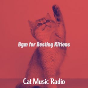 Download track Artistic Ambiance For Training Your Cat Cat Music Radio