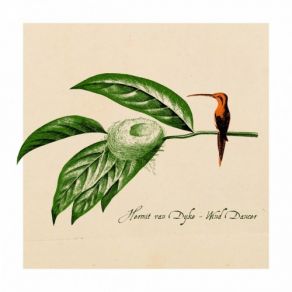 Download track Song Of The 4Th Floor Hermit Van Dyke