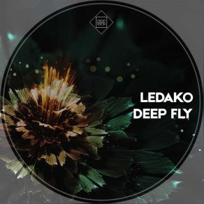 Download track Deep Fly Ledako