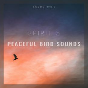 Download track Harmonic Chirping Spirit 5