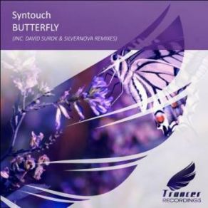 Download track Butterfly (Silvernova Remix) Syntouch