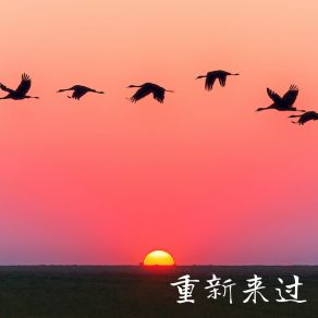 Download track 一点一滴 幻境音乐厂