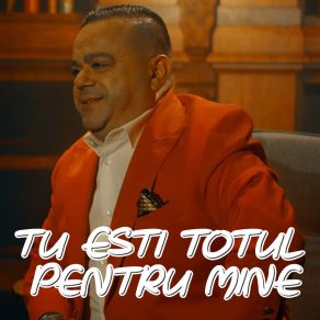 Download track TU ESTI TOTUL PENTRU MINE Stefan De La Barbulesti