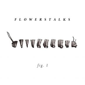 Download track Captive Audience Flowerstalks