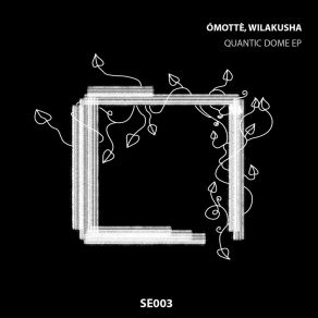 Download track Quantic Nature (Original Mix) Wilakusha