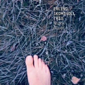 Download track Farsalighet Erlend Skomsvoll Trio