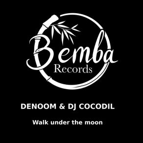 Download track Walk Under The Moon (Instrumental Mix) Dj Cocodil