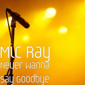 Download track Never Wanna Say Goodbye Mic Ray