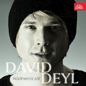 Download track Nádherná Zář David Deyl