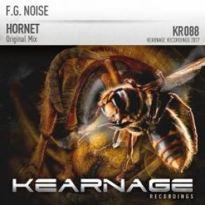 Download track Hornet (Original Mix) F. G. Noise