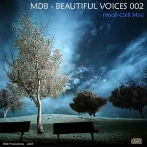 Download track 18 (MDB's Healing 2007 Rework) Moby