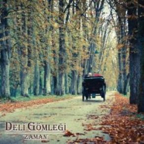 Download track Arkana Bakma Deli Gömleği