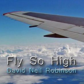 Download track Fly So High David Neil Robinson