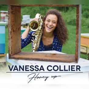 Download track The Fault Line Vanessa Collier