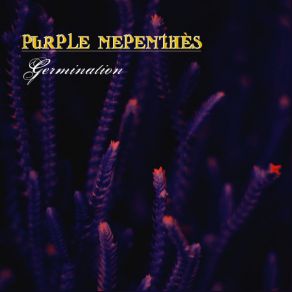 Download track 130 Purple Nepenthès