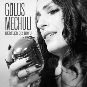 Download track Dertler Diz Boyu Gülüş Meçhuli