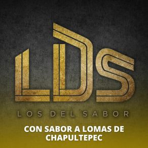 Download track Los Tlacololeros / Son De Victoria / Cuando Toco El Sax / Son De Mi Los Del Sabor LDS