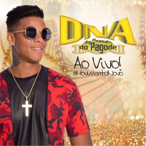 Download track Dna Do Pagode Chegou (Ao Vivo) DNA Do Pagode