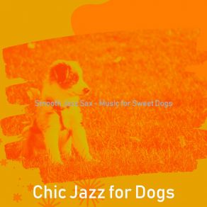 Download track Wondrous Backdrops For Sweet Dogs Chic Jazz For Dogs