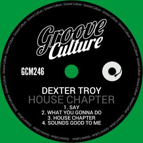 Download track Sounds Good To Me (Edit) Dexter Troy