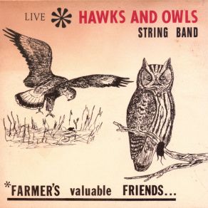 Download track Crawdad Shuffle The Hawks