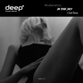 Download track In The Sky (T-Zhuk Remix) MichelettoT-Zhuk