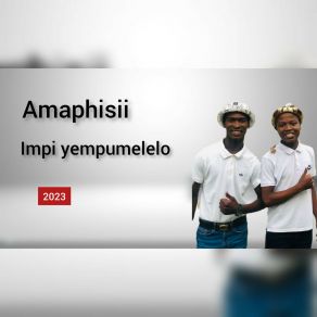 Download track Ngibhale Amaphisii