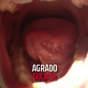 Download track Autostop Nosense Agrado