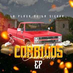 Download track Manuelito La Plaga De La Sierra