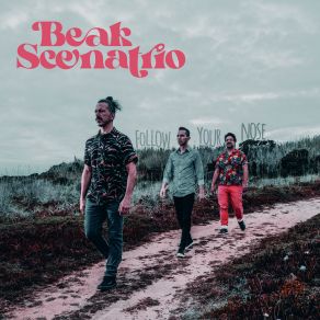 Download track Coastal Breeze Beak Scenatrio