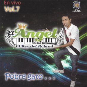 Download track La Chica De La Minifalda El Angel De Los Teclados