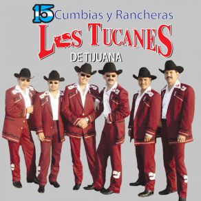 Download track Mi Venganza Los Tucanes De Tijuana