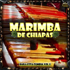 Download track Acercate Marimba De Chiapas