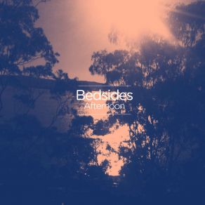 Download track Some Place Quiet Bedsides