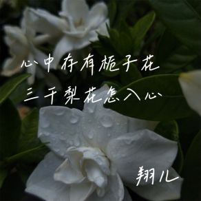 Download track 心中存有栀子花 三千梨花怎入心 翔儿