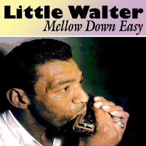 Download track You're So Fine Little Walter