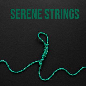 Download track Serene Strings Spiritual Elevation