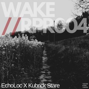 Download track Circadian Fade (EchoLoc's Broken Routine) EchoLoc