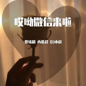 Download track 爸爸来信息啦 (Dj版) 西瓜君