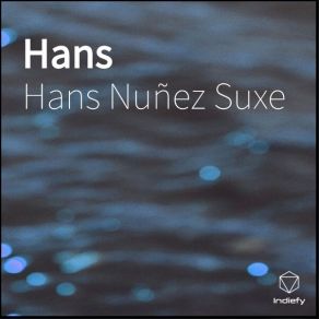 Download track Pixel X Hans Nuñez Suxe