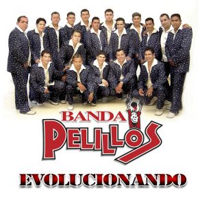 Download track Mi Vida Sin Ti Banda Pelillos
