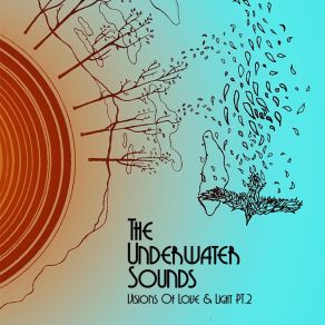 Download track Breakdown In The Buddha Shop The Underwater Sounds